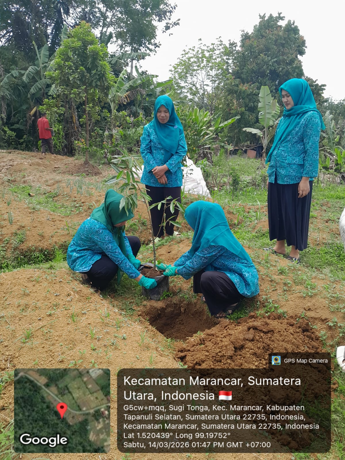 Kegiatan Penanaman Pohon Durian