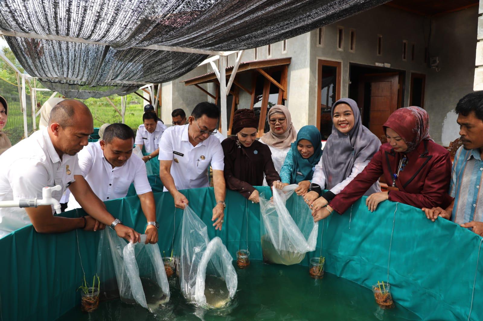 Bibit Ikan Lele Membantu Perekonomian Keluarga dan menambah gizi anak